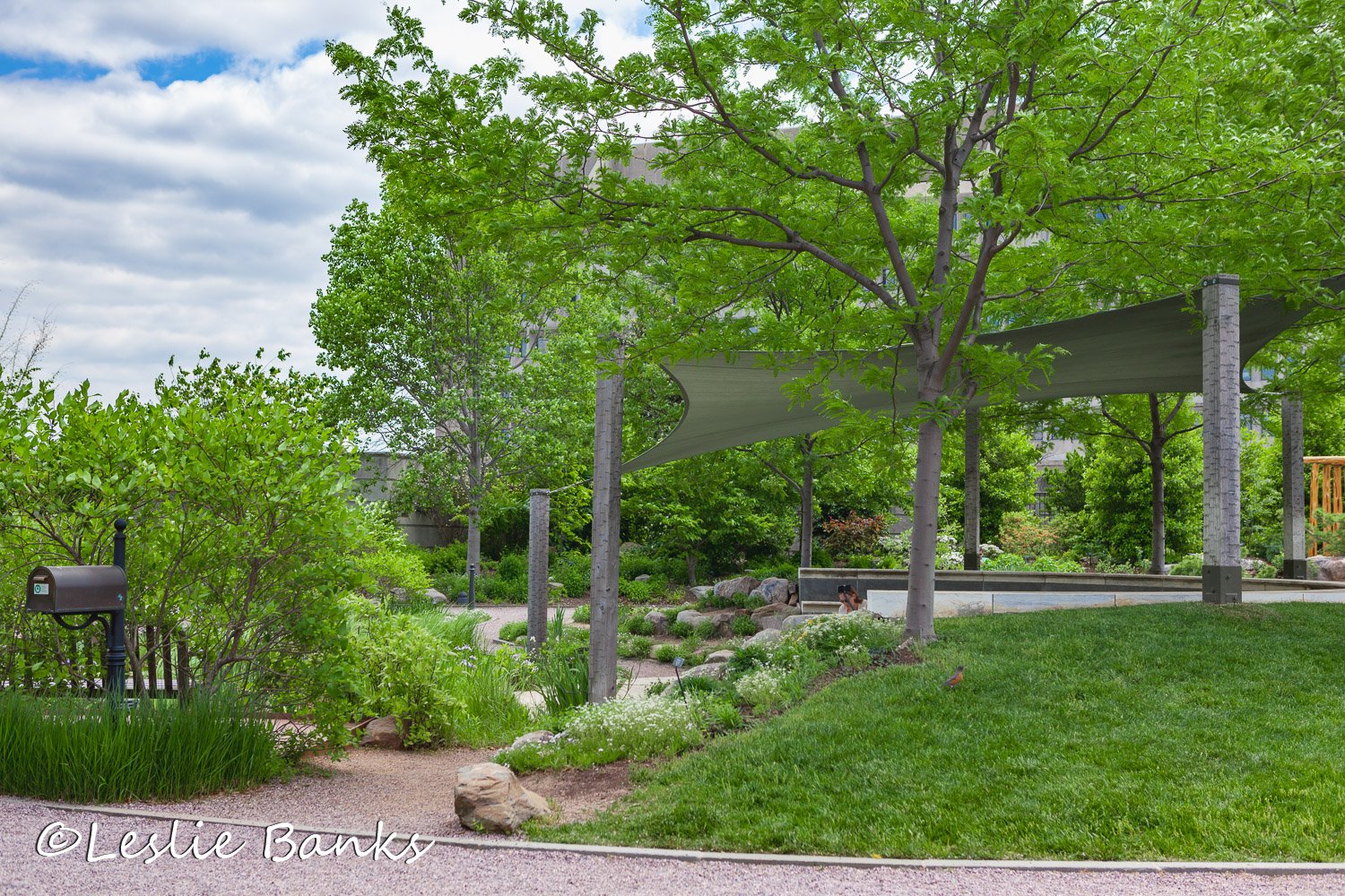 Amphitheater in the National Garden, part of the U.S. Botanic Garden on Capitol Hill in Washington, DC