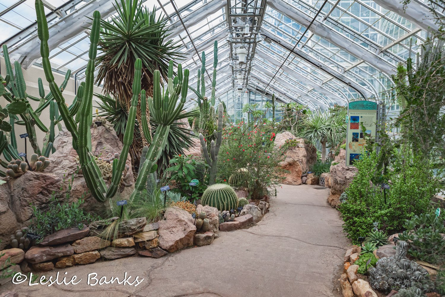 World Deserts room